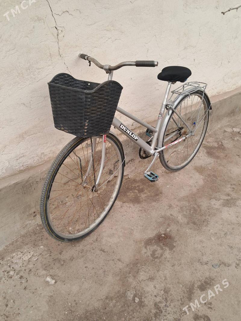 welik - Kerki - img 1