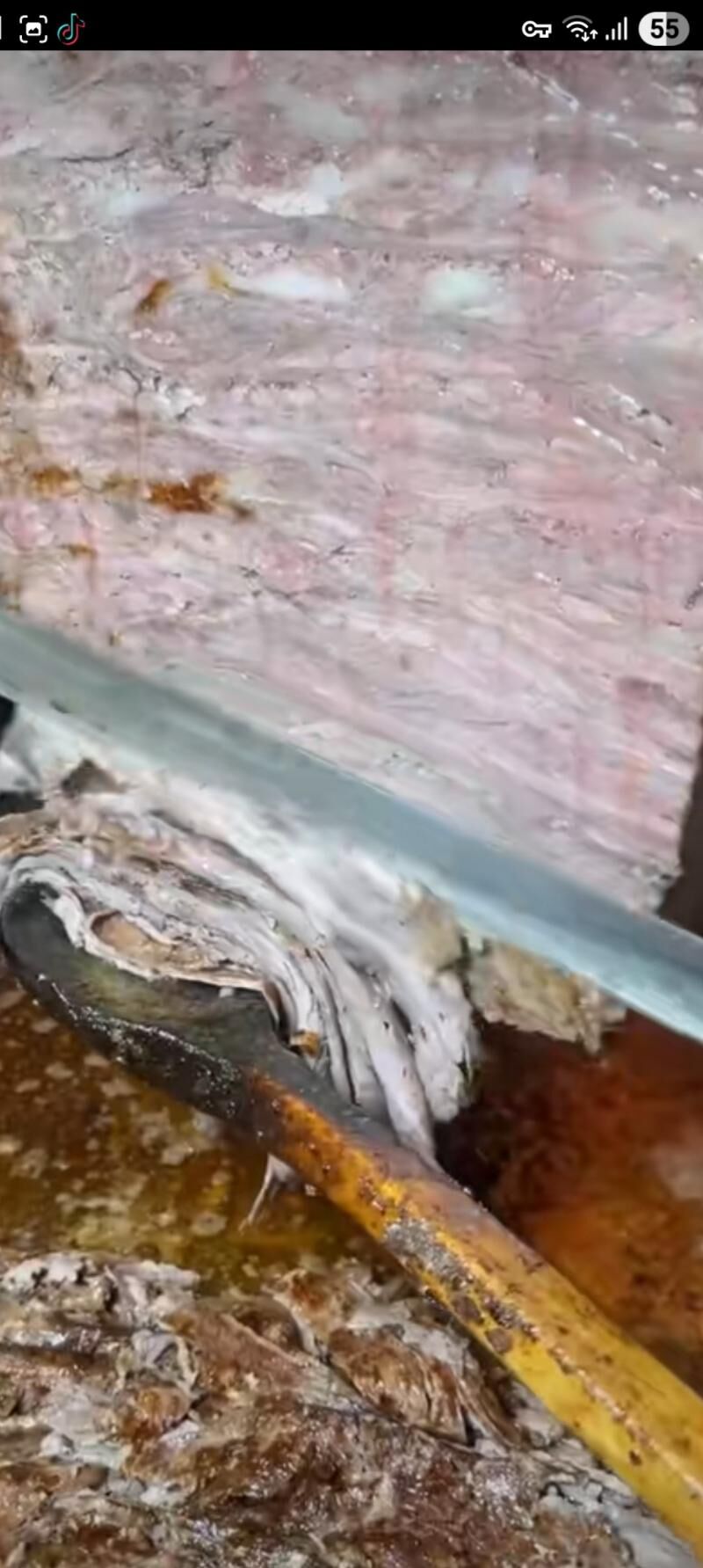 donerci ozüm - Ашхабад - img 1