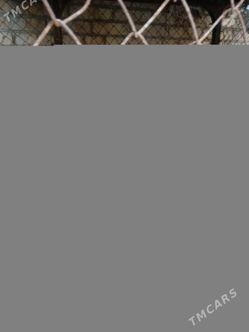 horaz - Türkmenabat - img 1