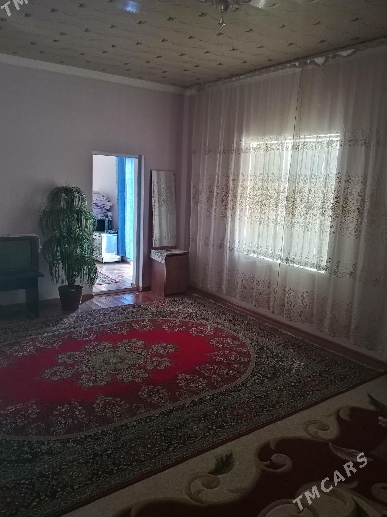 Satlyk howly - Mary - img 1