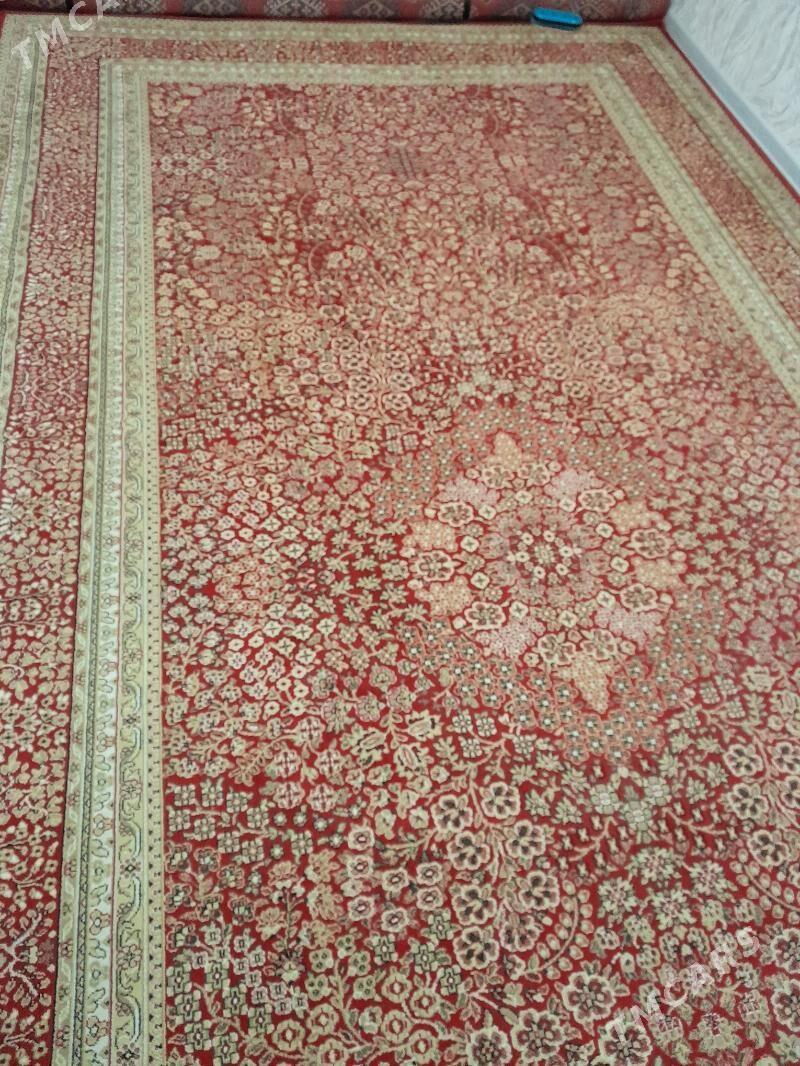 haly - Балканабат - img 1