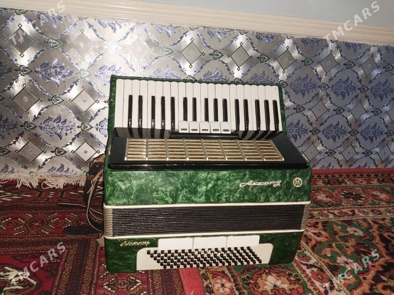 Akkordeon - Дашогуз - img 1