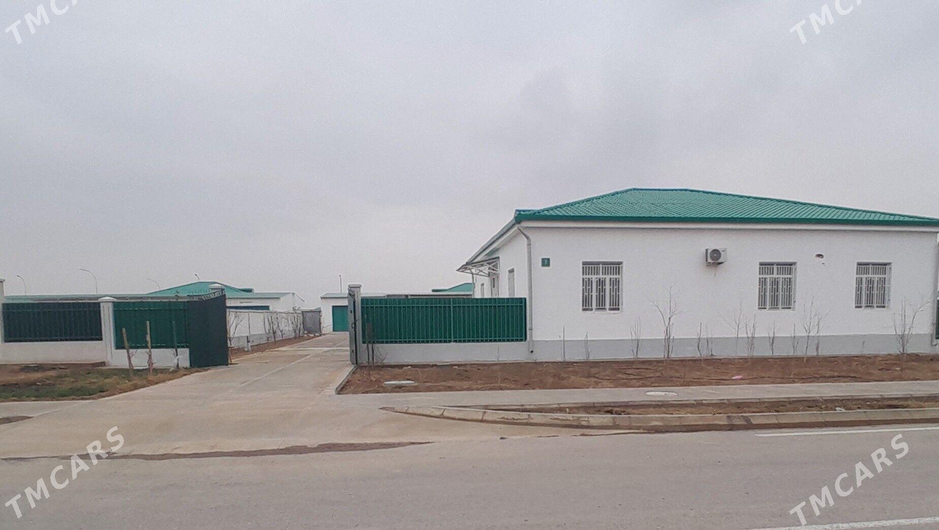 Nurly zaman Bagtyyar yaslar - Гёкдепе - img 1