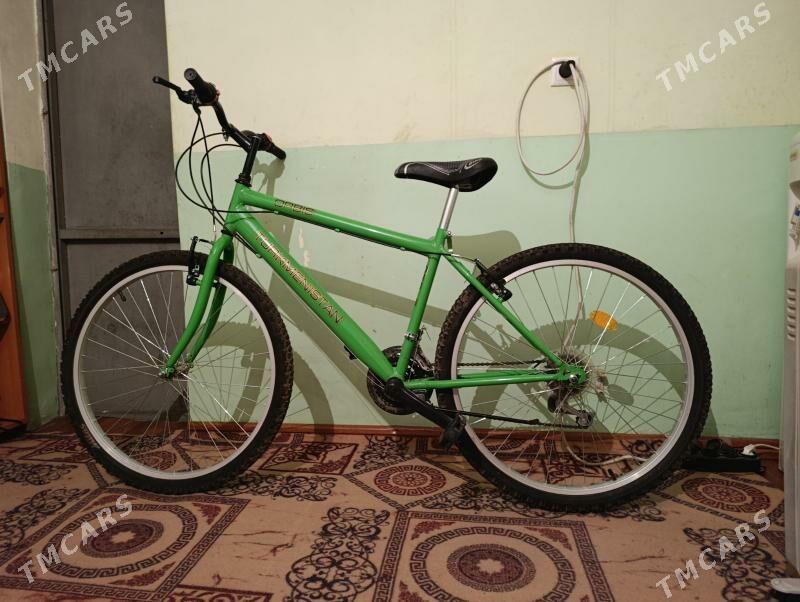 tigir - Bagyr - img 1