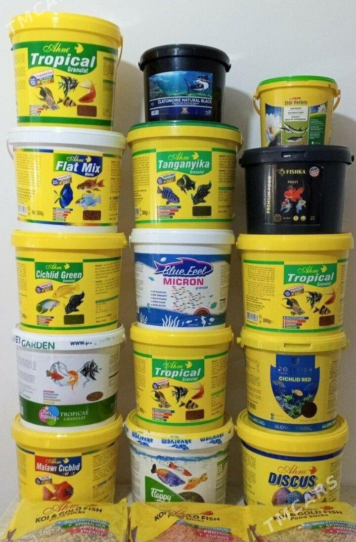 КОРМ ДЛЯ РЫБ - Дашогуз - img 1