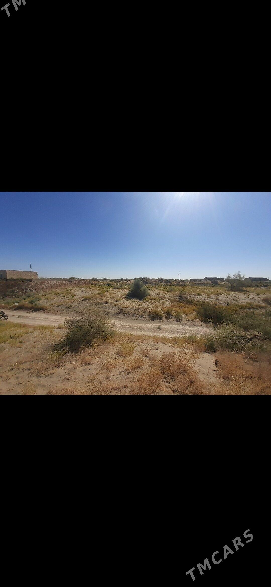 Satlyk mellek - Фарап - img 1