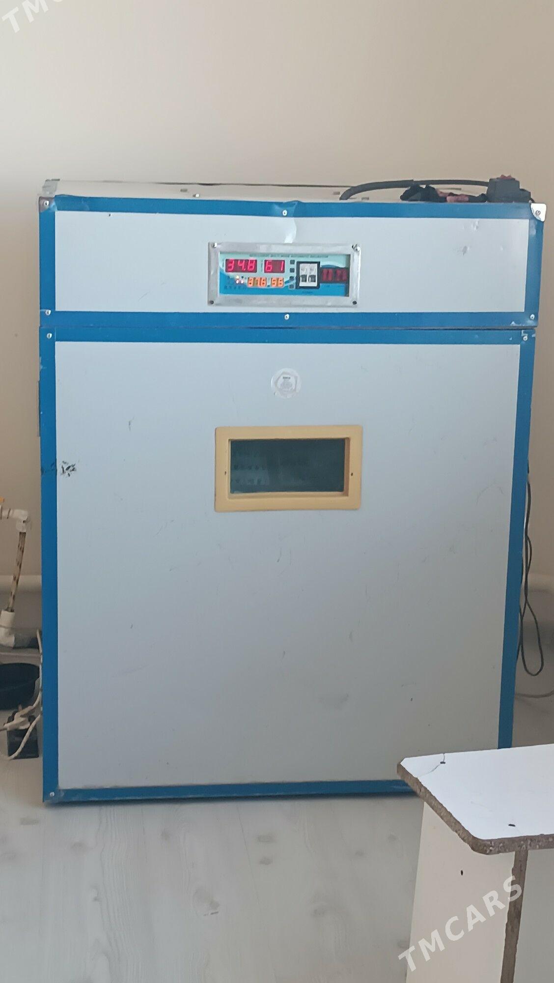 İnkubator juje cylaryas - Бабадайхан - img 1