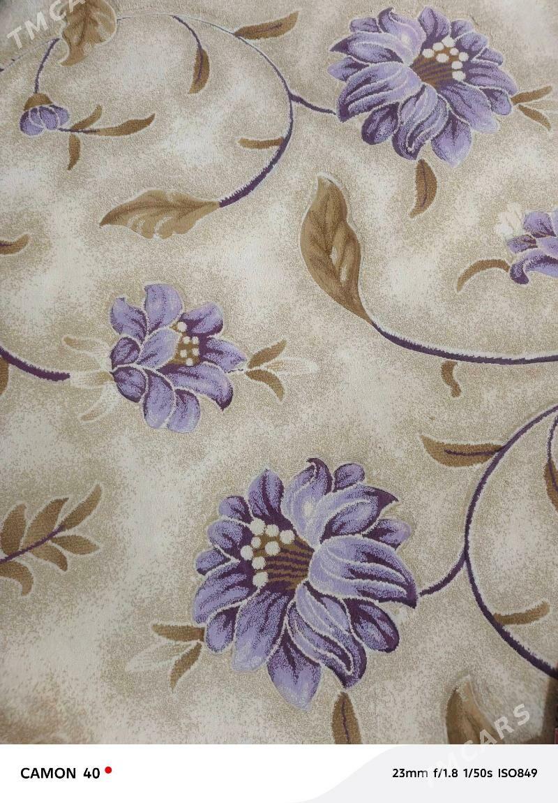 Haly - Гызыларбат - img 1