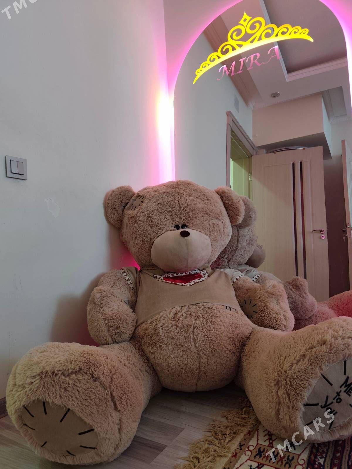 mişka - Ашхабад - img 1