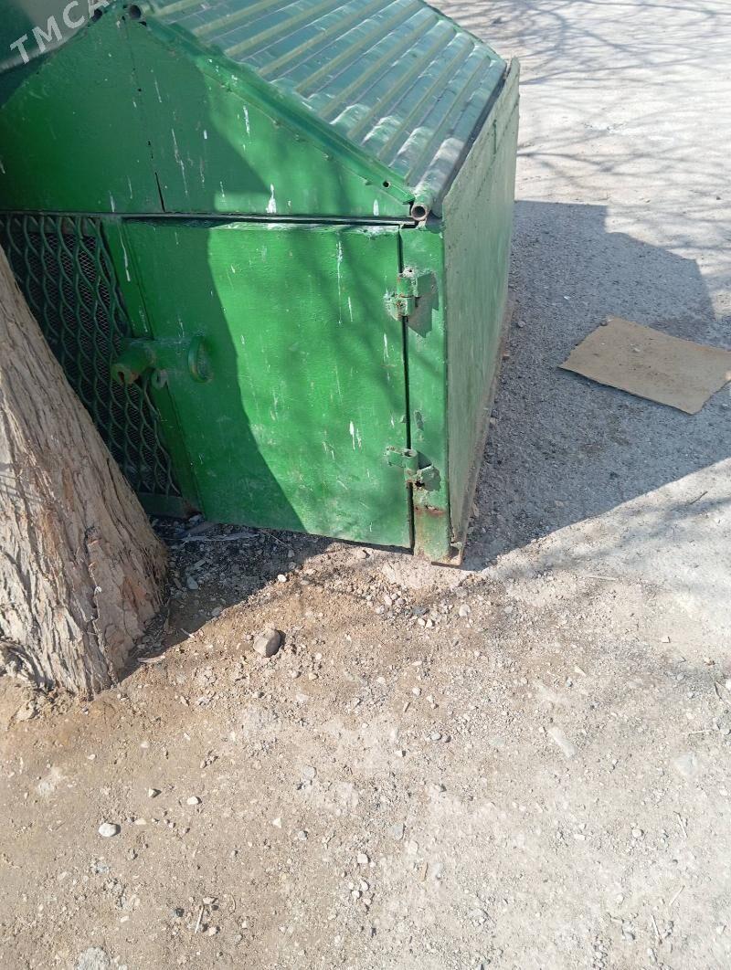 kepderi ketek - Balkanabat - img 1