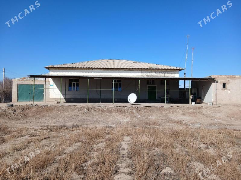 Satlyk Jay - Шабатский этрап - img 1