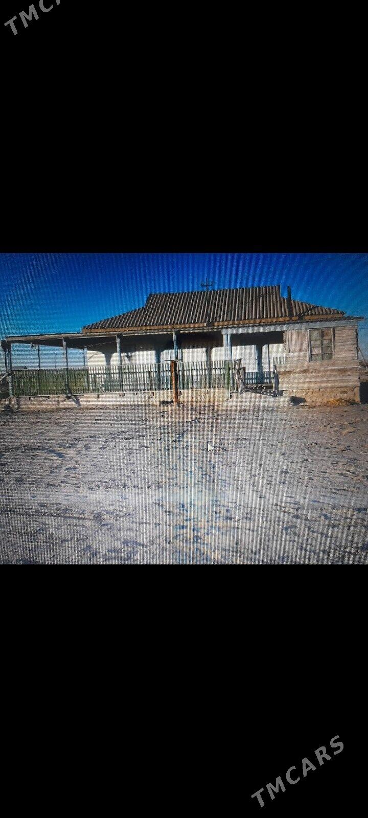 jay - Esenguly - img 1