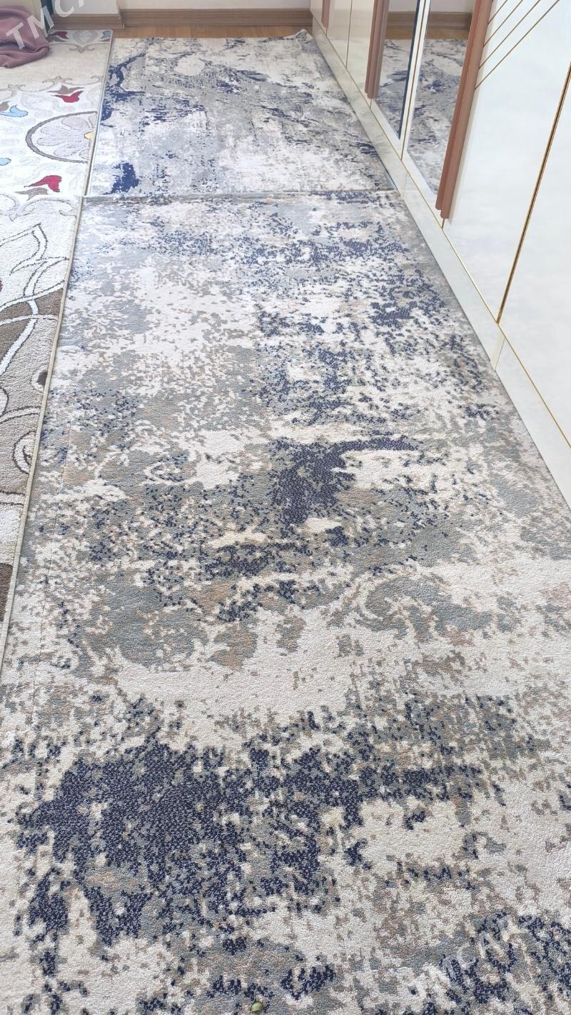 Haly - Änew - img 1