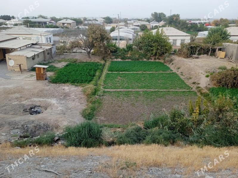 mellek yer - Mary - img 1