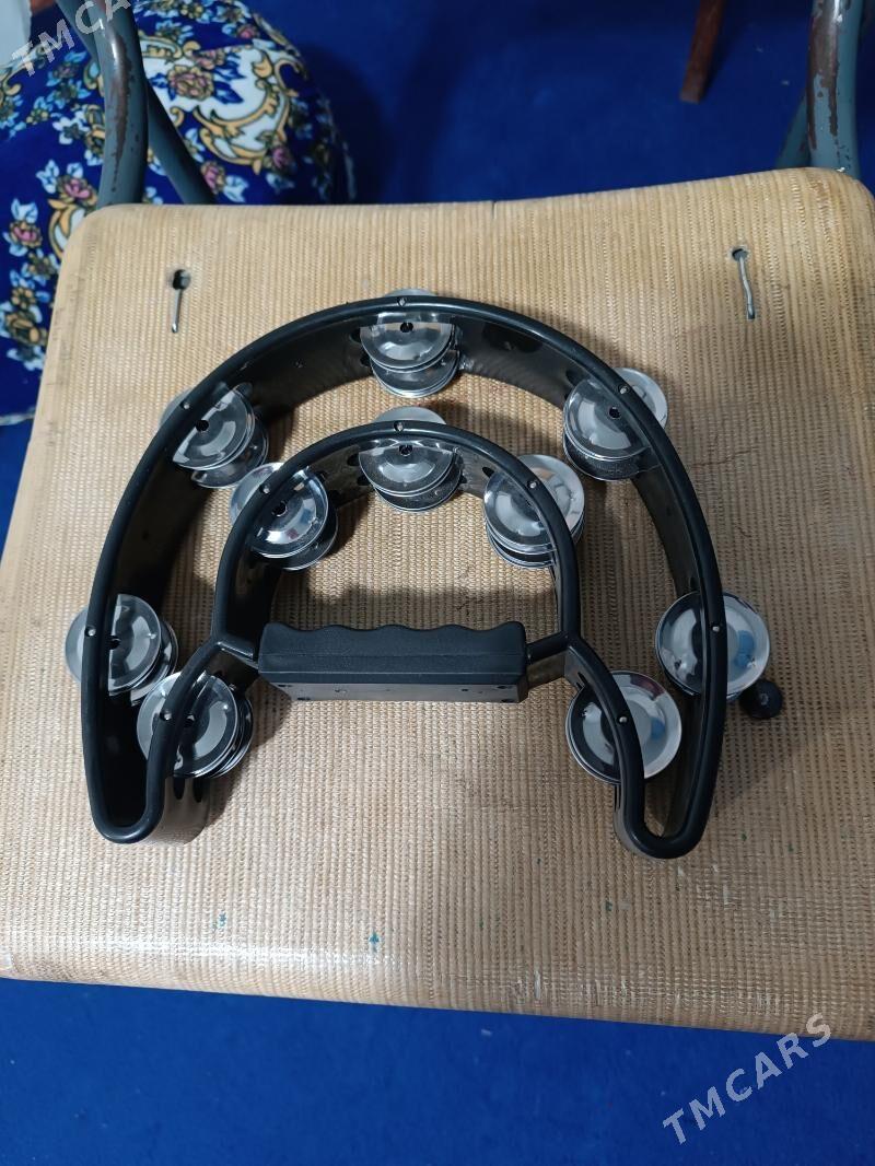 Saz gural - Halaç - img 1