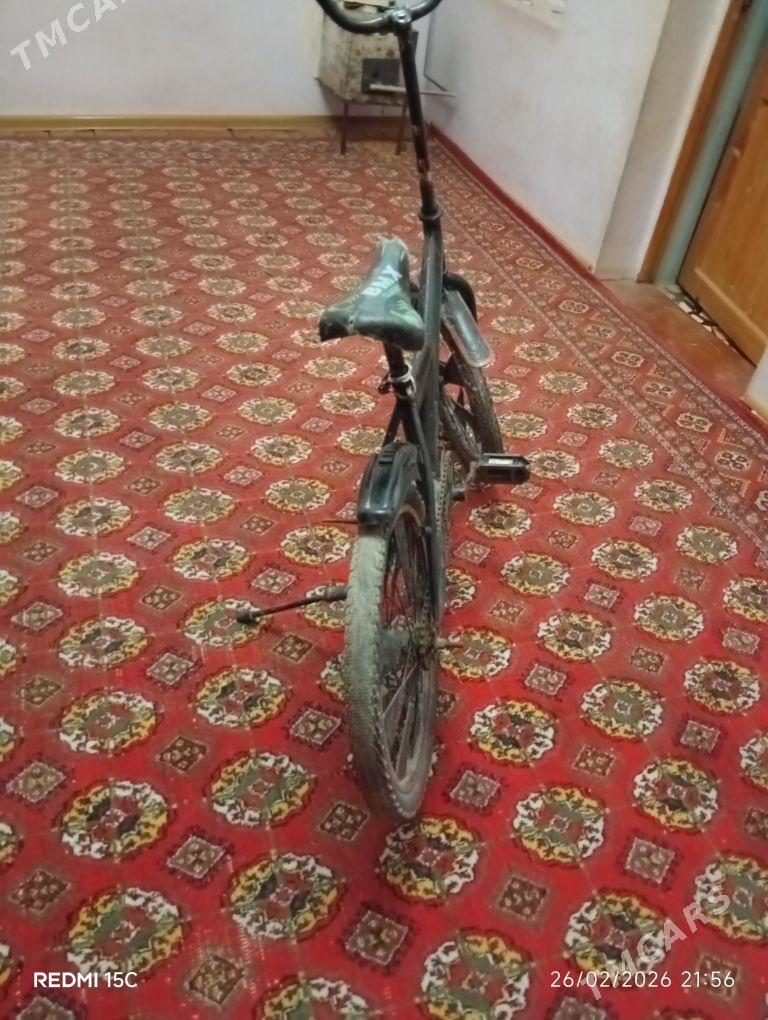 velik - Daşoguz - img 1