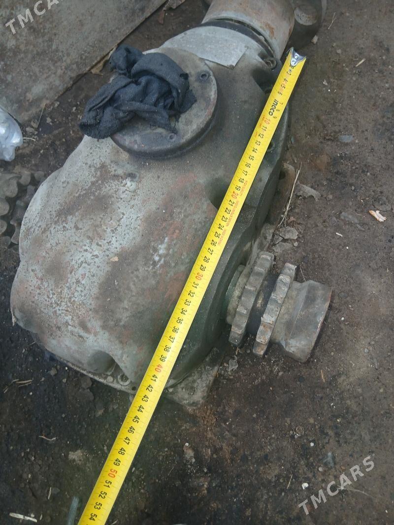 redukdyr - Яшлык - img 1