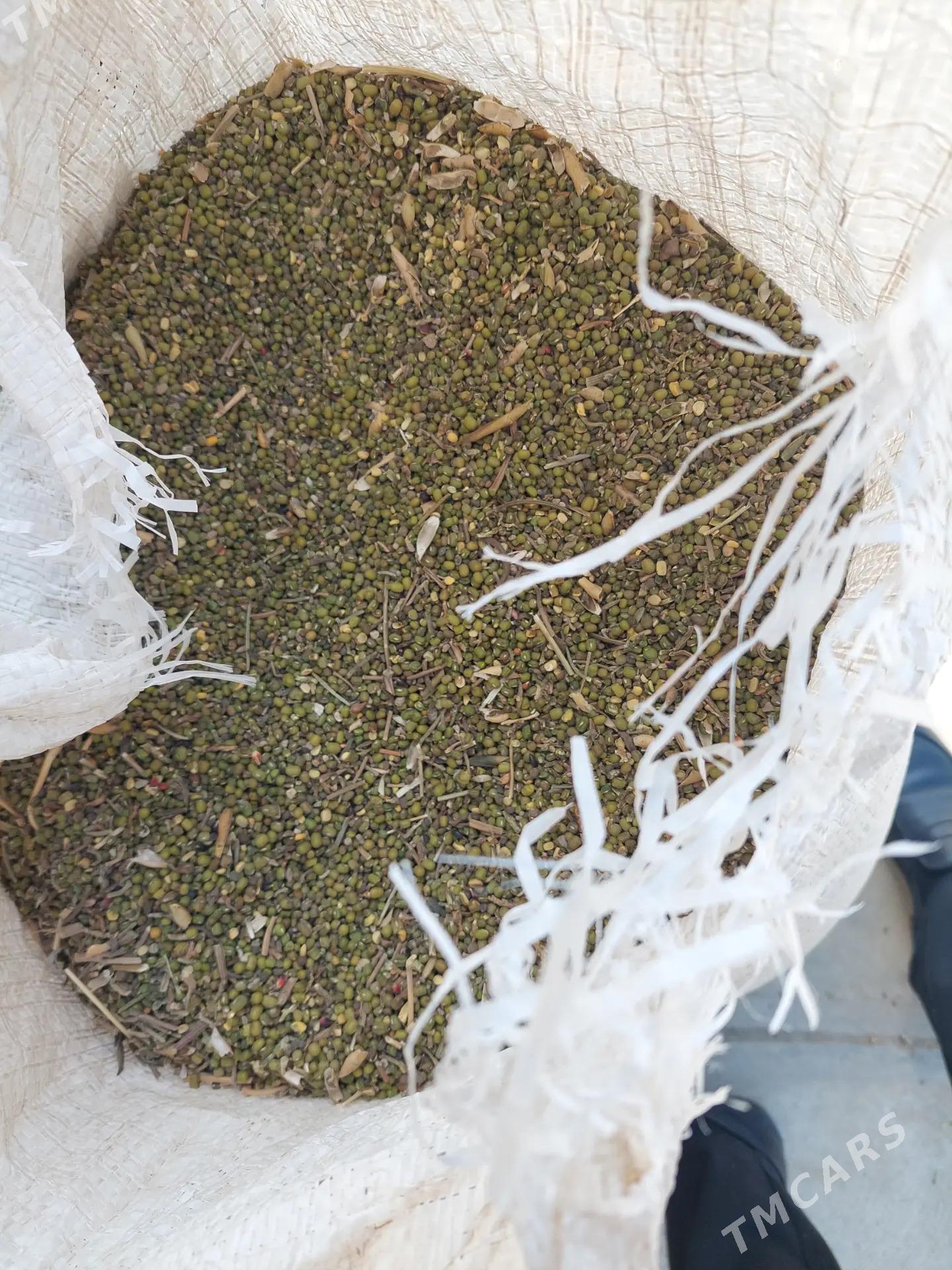 Mal iýmlikMal iýmlik - Änew - img 1