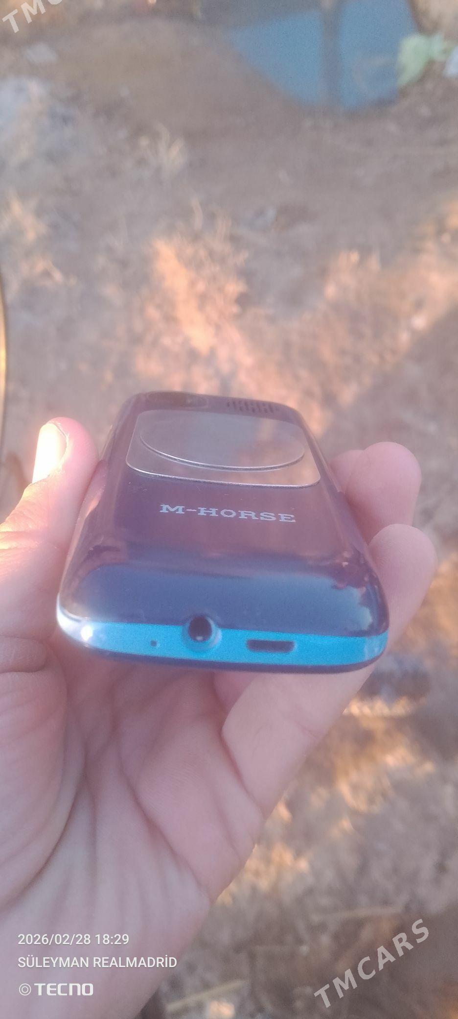 H-HORSE - Гурбансолтан Едже - img 1