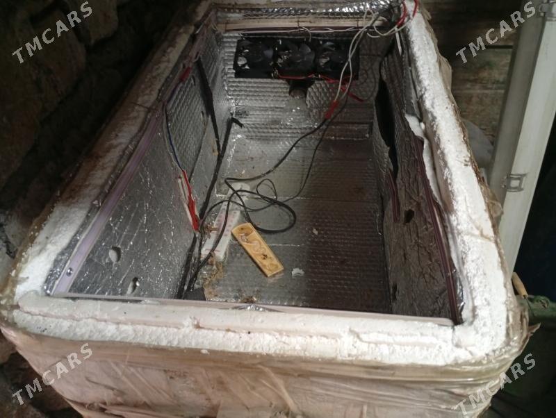 инкубатор ___inkubator - Туркменбаши - img 1