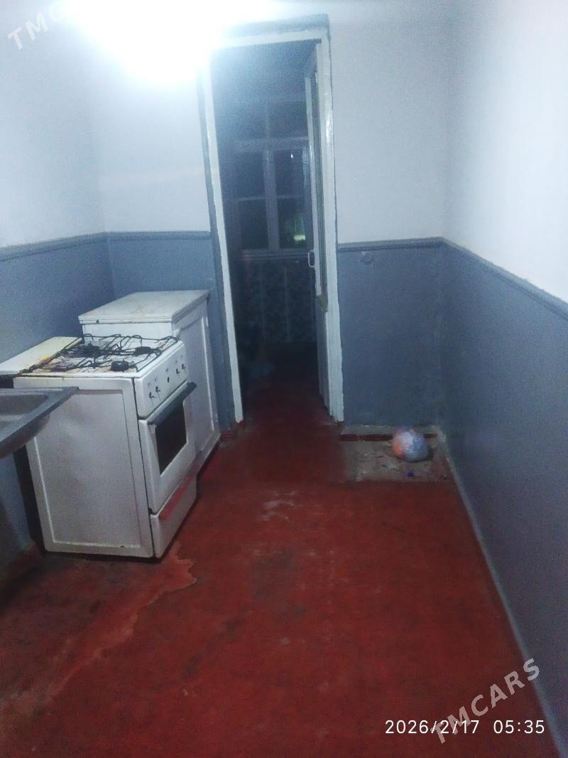 Satlyk jay - Mary - img 1