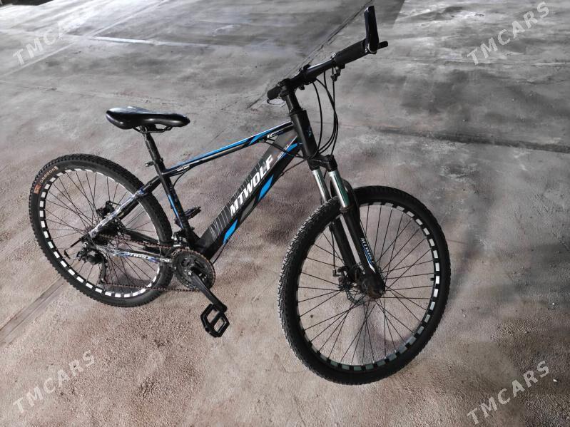 Tigir - Täze zaman - img 1