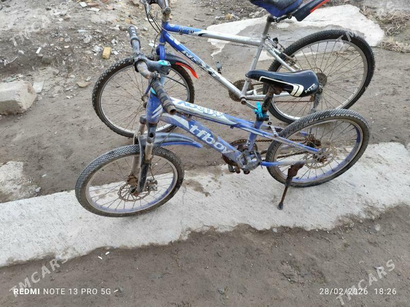 welosiped - Daşoguz - img 1