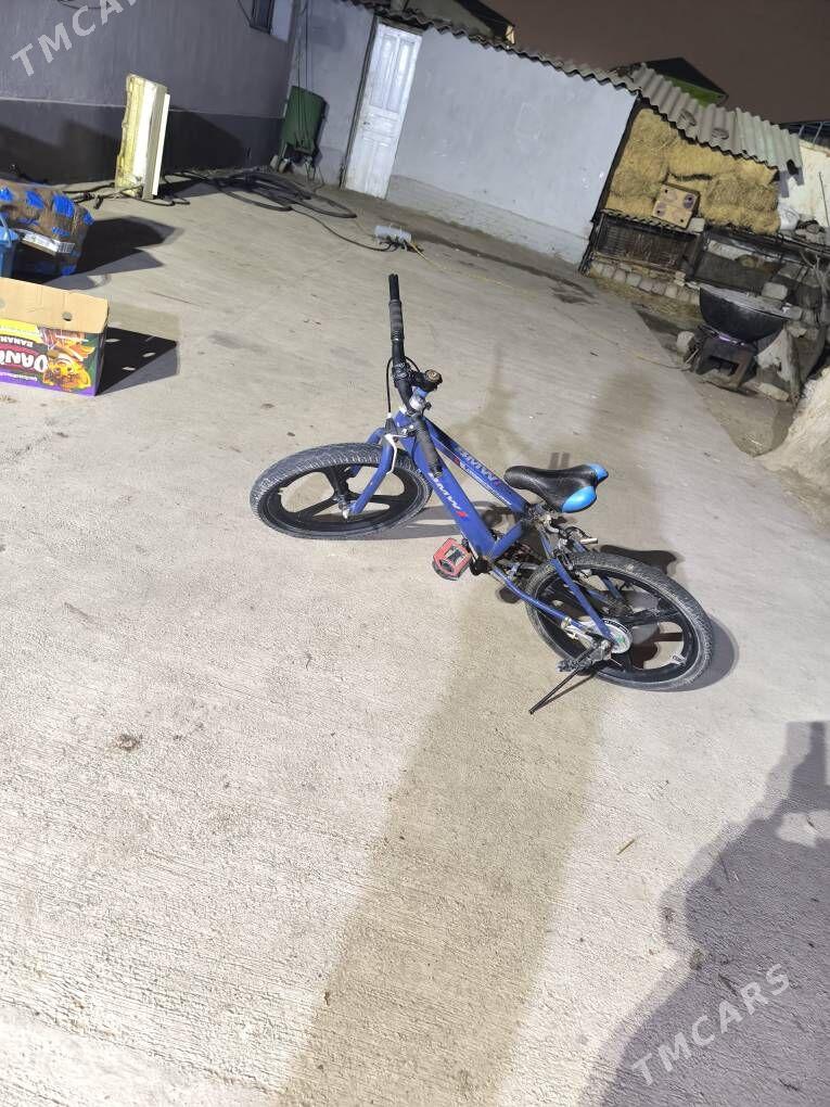 Tigir - Гарадамак Шор - img 1