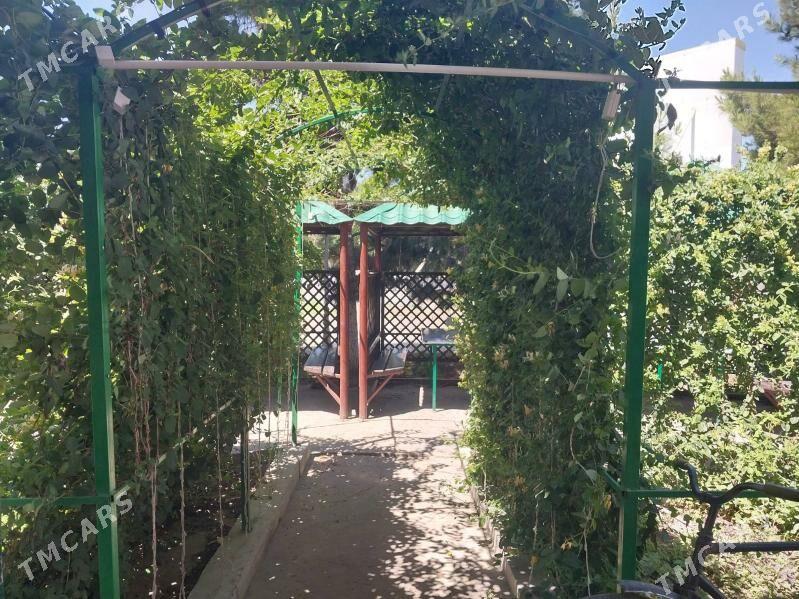 кафе - Türkmenabat - img 1