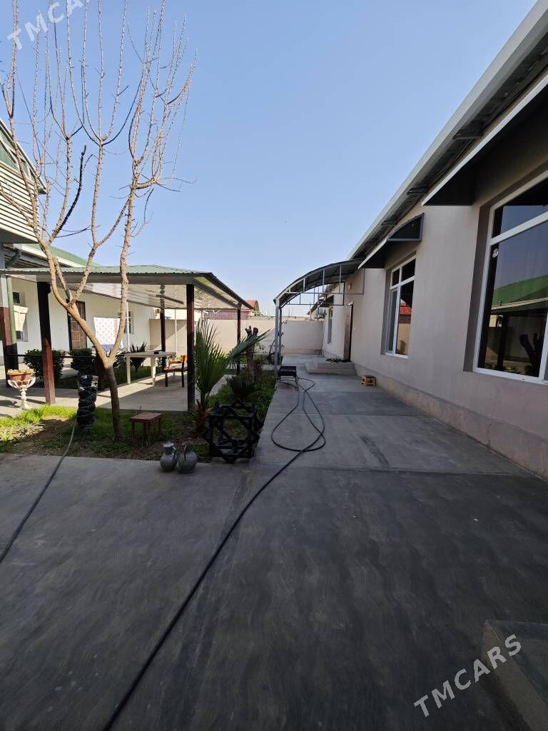 coganly - Ашхабад - img 1