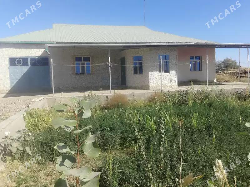 satlyk jaysatlyk jay - Görogly (Tagta) - img 1