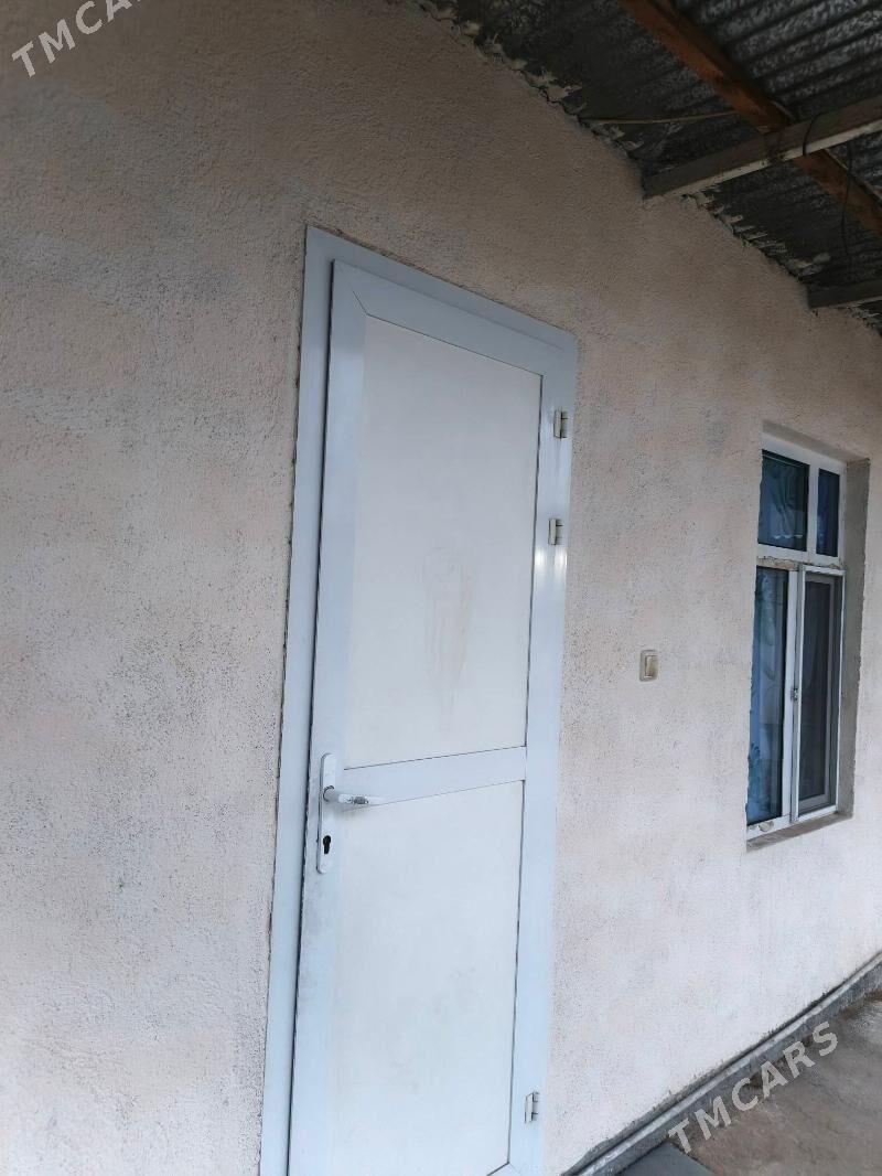 kwartyra - Ak bugdaý etraby - img 1