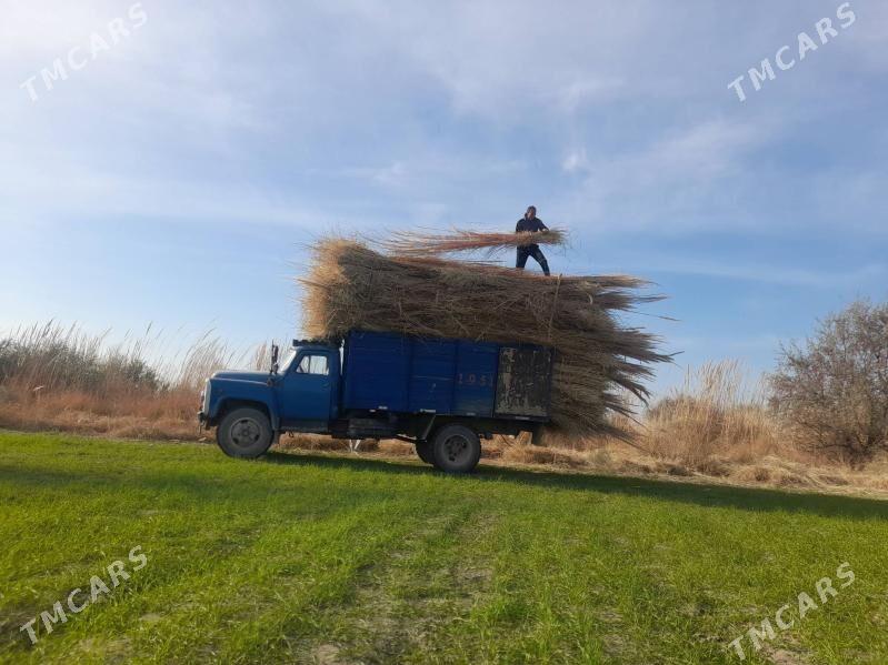 hyssa - Дашогуз - img 1