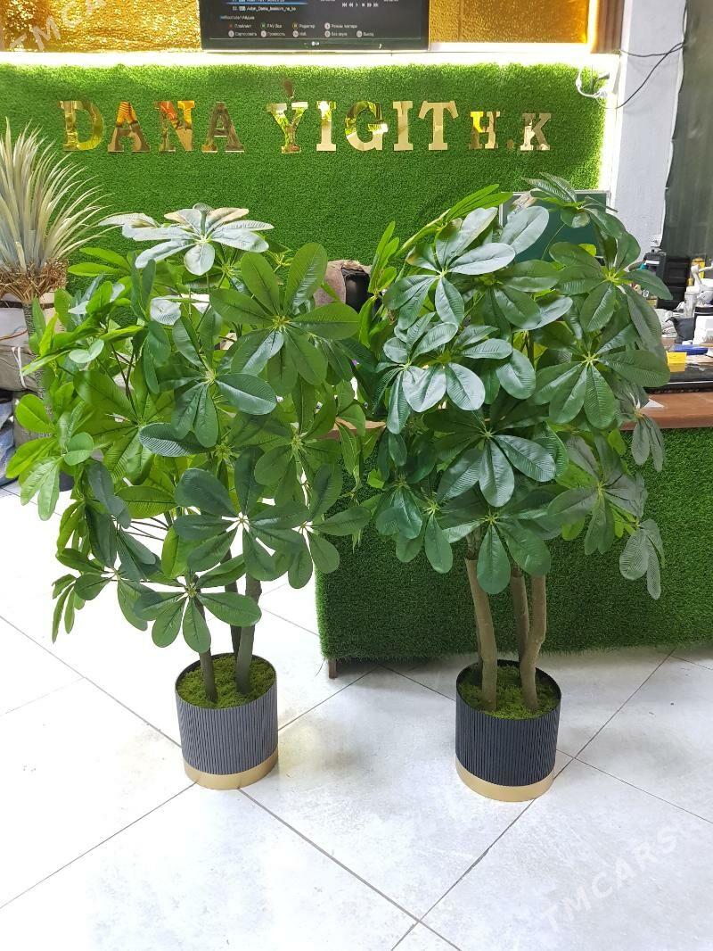 Baglar we guller - Ашхабад - img 1