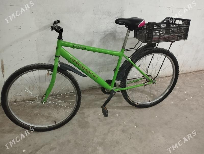 tigir - Änew - img 1