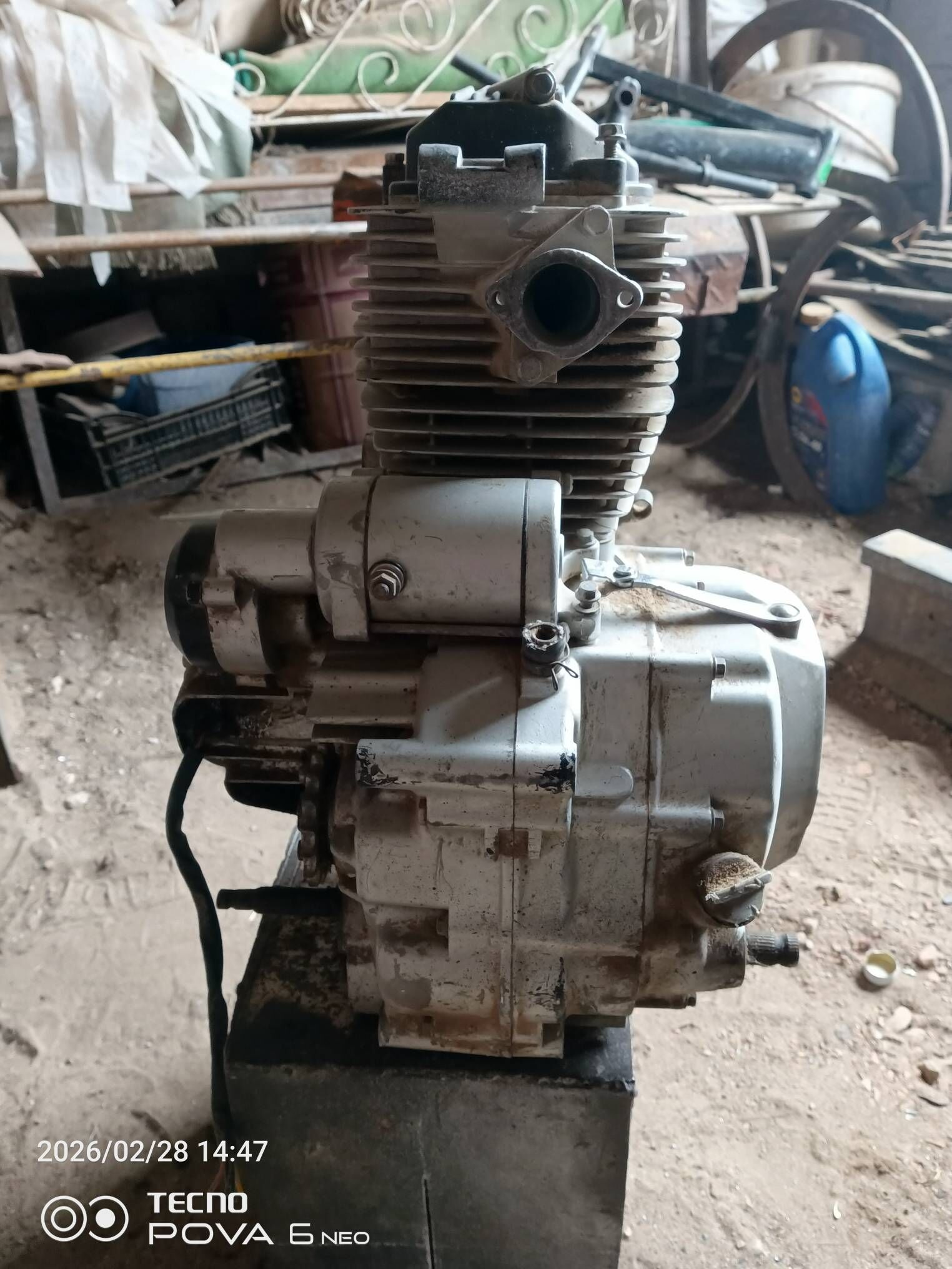 Dwitil 600 TMT - Балканабат - img 1