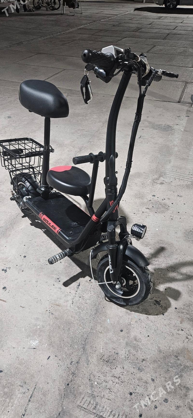 Tokly Samakat yagdayi bett - Çoganly - img 1