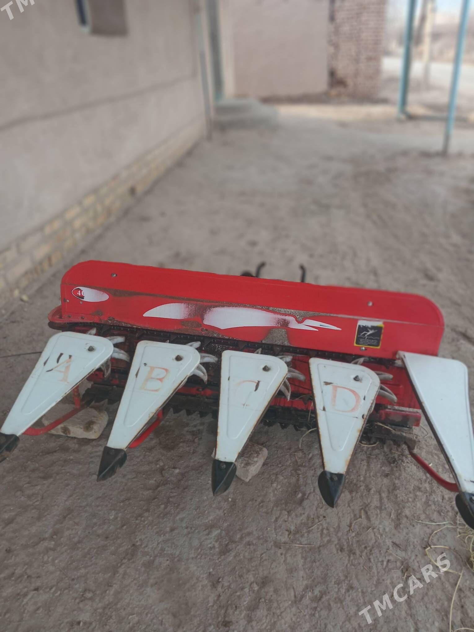 Kasilka - Görogly (Tagta) - img 1