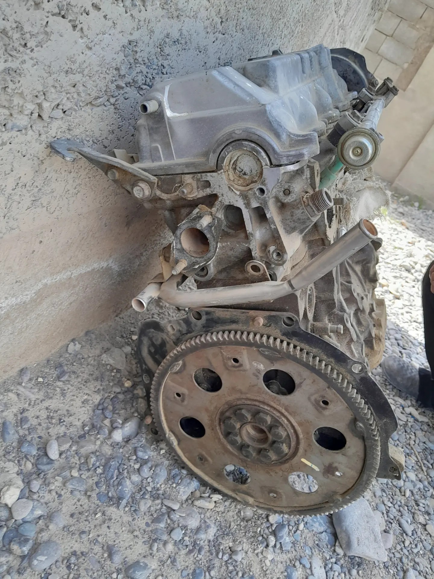 babocka mator 2.2 2 600 TMT - Кака - img 1