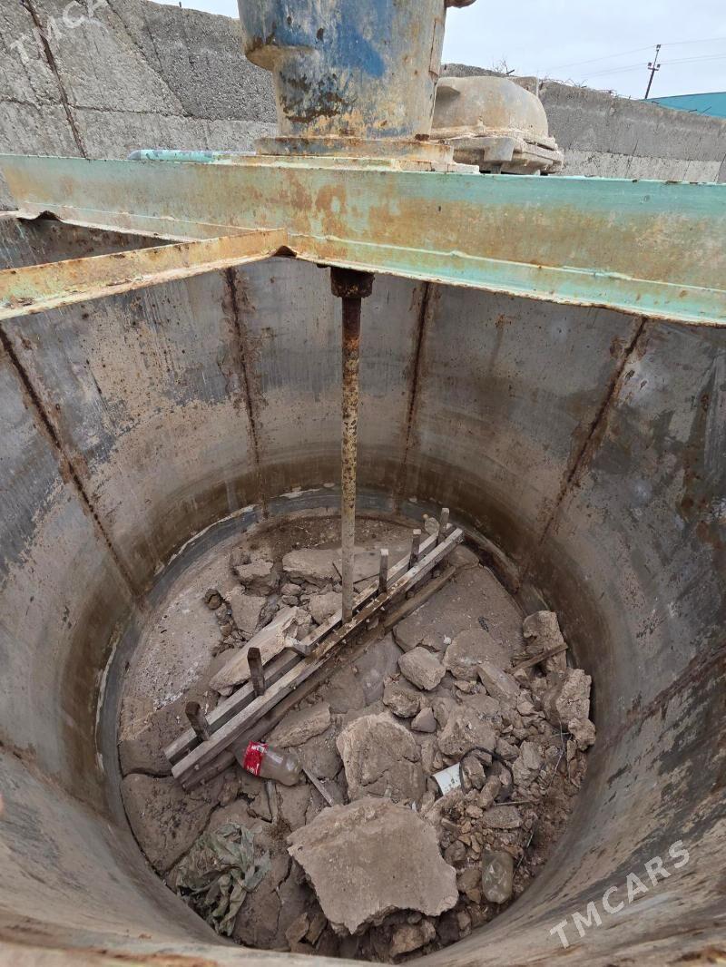 bocka nerźaweyka - Mary - img 1