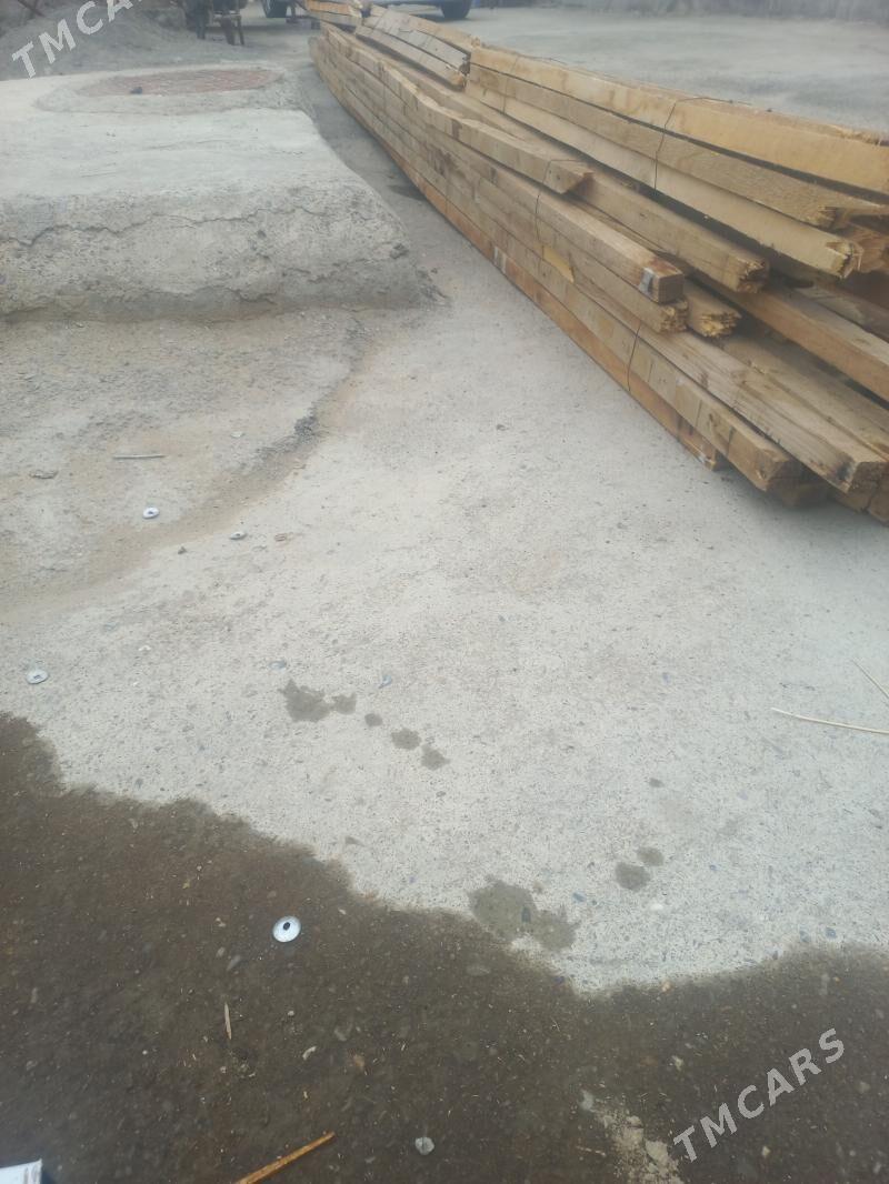 Agaçlar - Çoganly - img 1