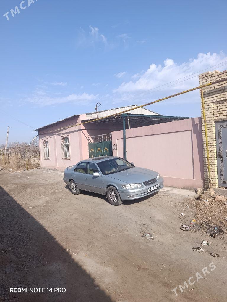 Daça - Türkmenabat - img 1