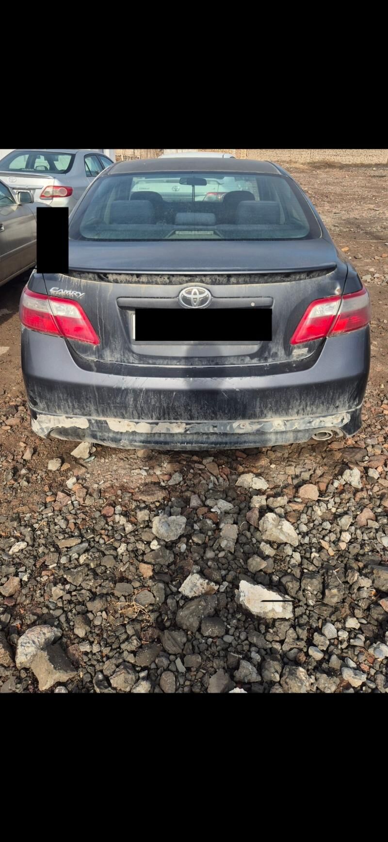 Okuz kelle bufer sklas 650 TMT - Daşoguz - img 1