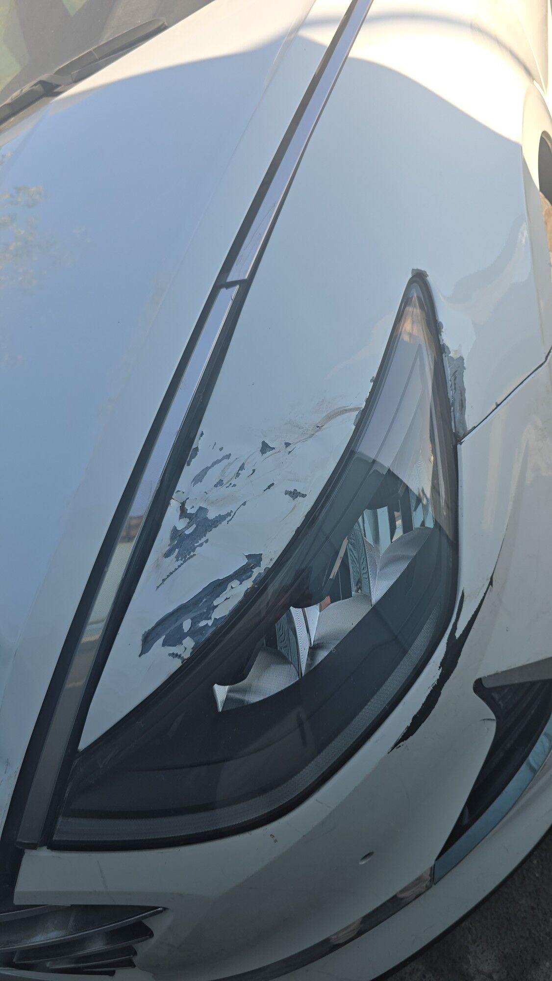 Соната Krylo крыло 500 TMT - Ашхабад - img 1