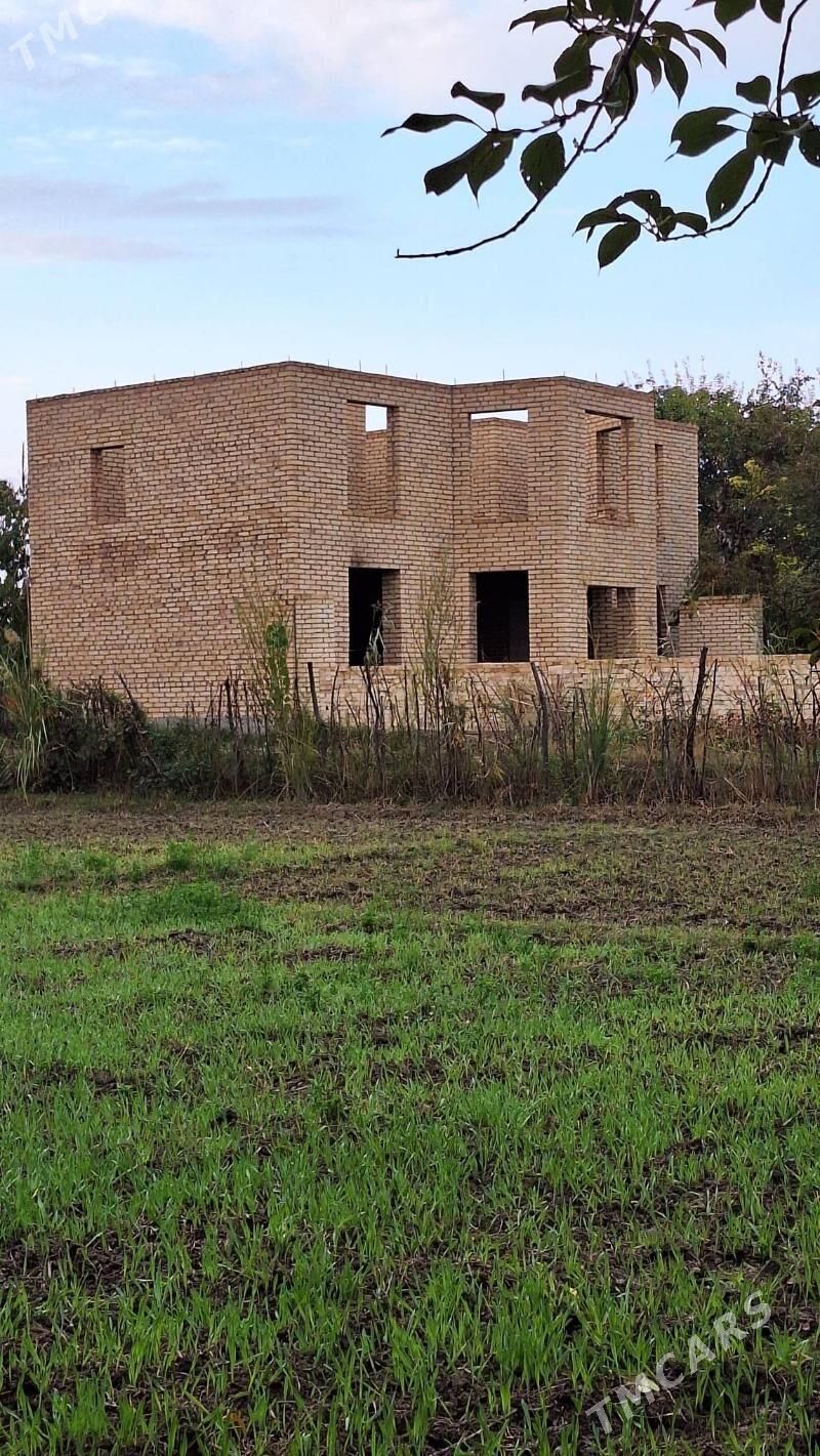 Daça - Farap - img 1