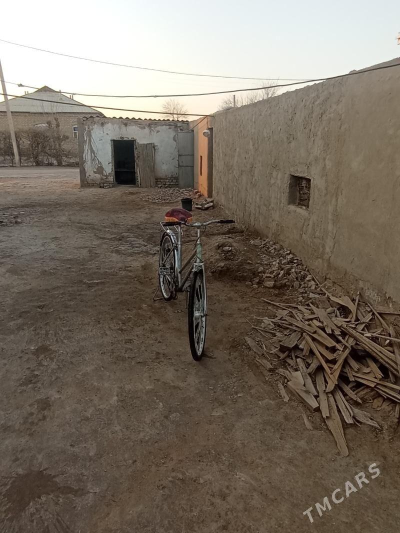 Welsebit - Mary - img 1