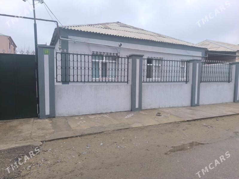 anew plan jay - Änew - img 1