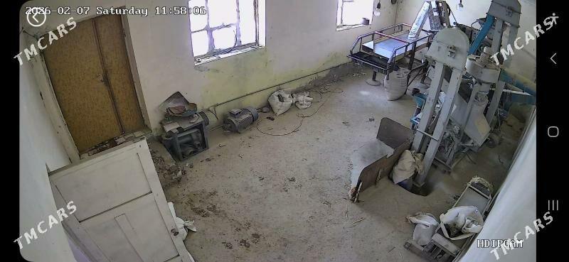 şaly haraz - Гурбансолтан Едже - img 1