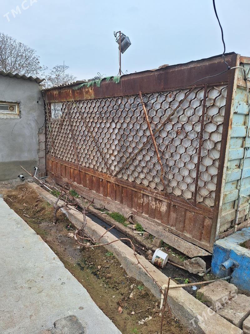 demir butga - Änew - img 1