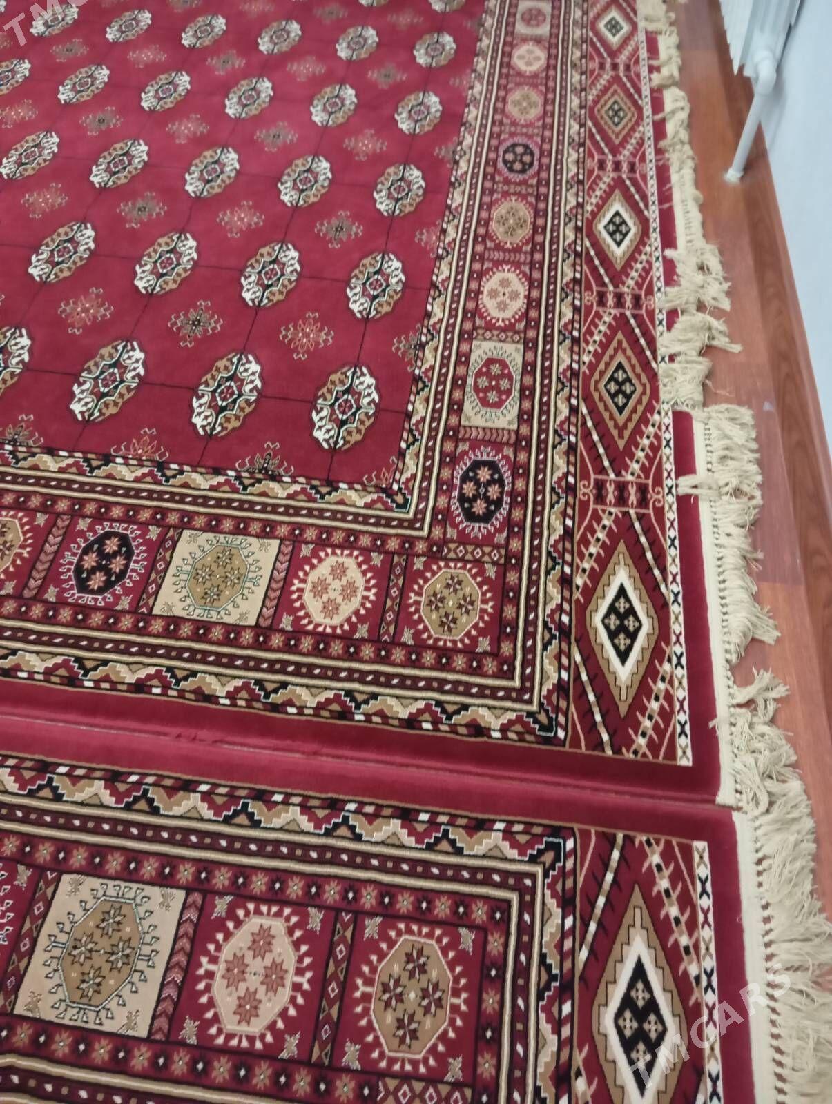 Haly - Бузмеин - img 1